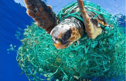 Der Verein Mare Nostrum - End Plastic Soup entstand durch die Initiative einiger Rotarierinnen und Rotarier aus dem Raum Basel